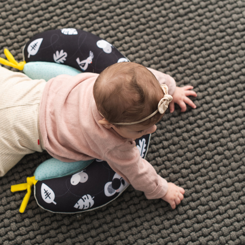 Taf Toys Tummy Time Developmental Pillow 