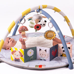 Taf Toys | Development Toys for Easier Parenting